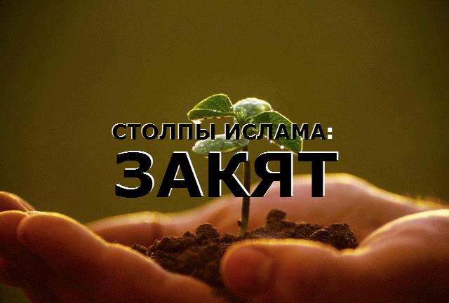 Как выплачивать Закят?!