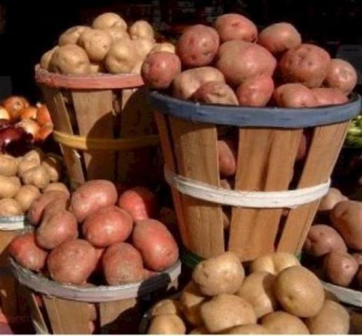 Гошер садака в медресе республики