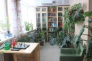 Изображение - 31 